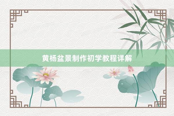 黄杨盆景制作初学教程详解