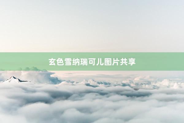 玄色雪纳瑞可儿图片共享