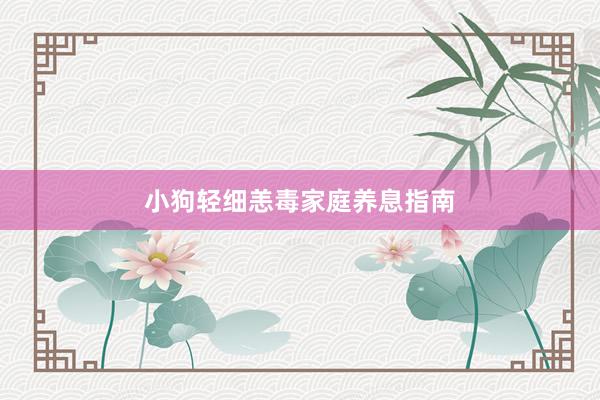 小狗轻细恙毒家庭养息指南